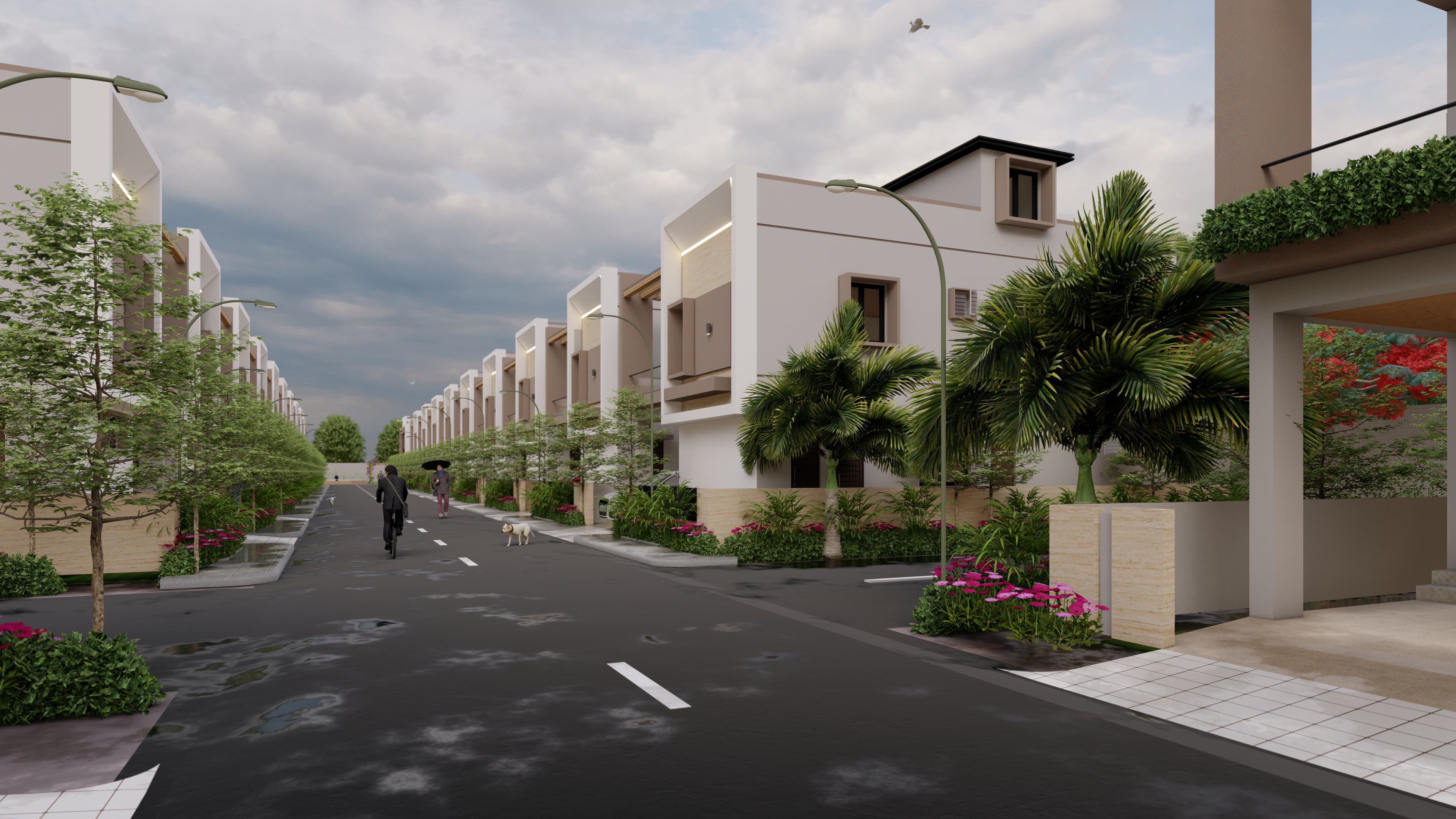 Junction Street View — Tranquil Meadows